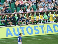 vfl-wolfsburg vs everton-fc 10-11 friendly 028