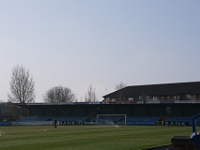 maccelsfield-town moss-rose 07-08 005