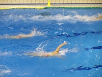 crvena-zvezda vs posillipo 11-12 waterpolo 024