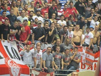 crvena-zvezda vs panathinaikos basketball-srb 13-14 039