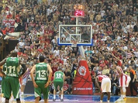 crvena-zvezda vs panathinaikos basketball-srb 13-14 072